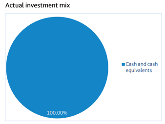 BNZ Cash Investment Mix