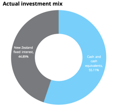 Investment Mix - Summer Cash Dec 2021