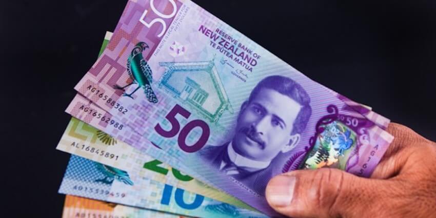 picture of money of new zealand