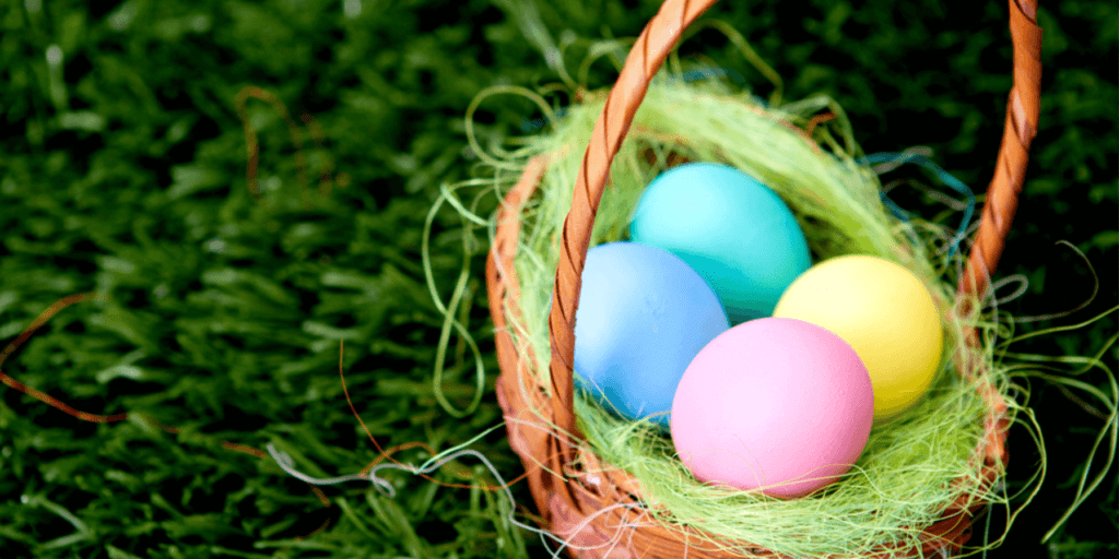 an image of colorful eggs