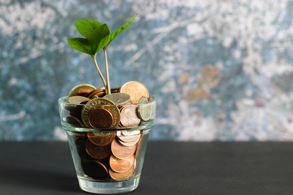 a picture of plant with money on its vase